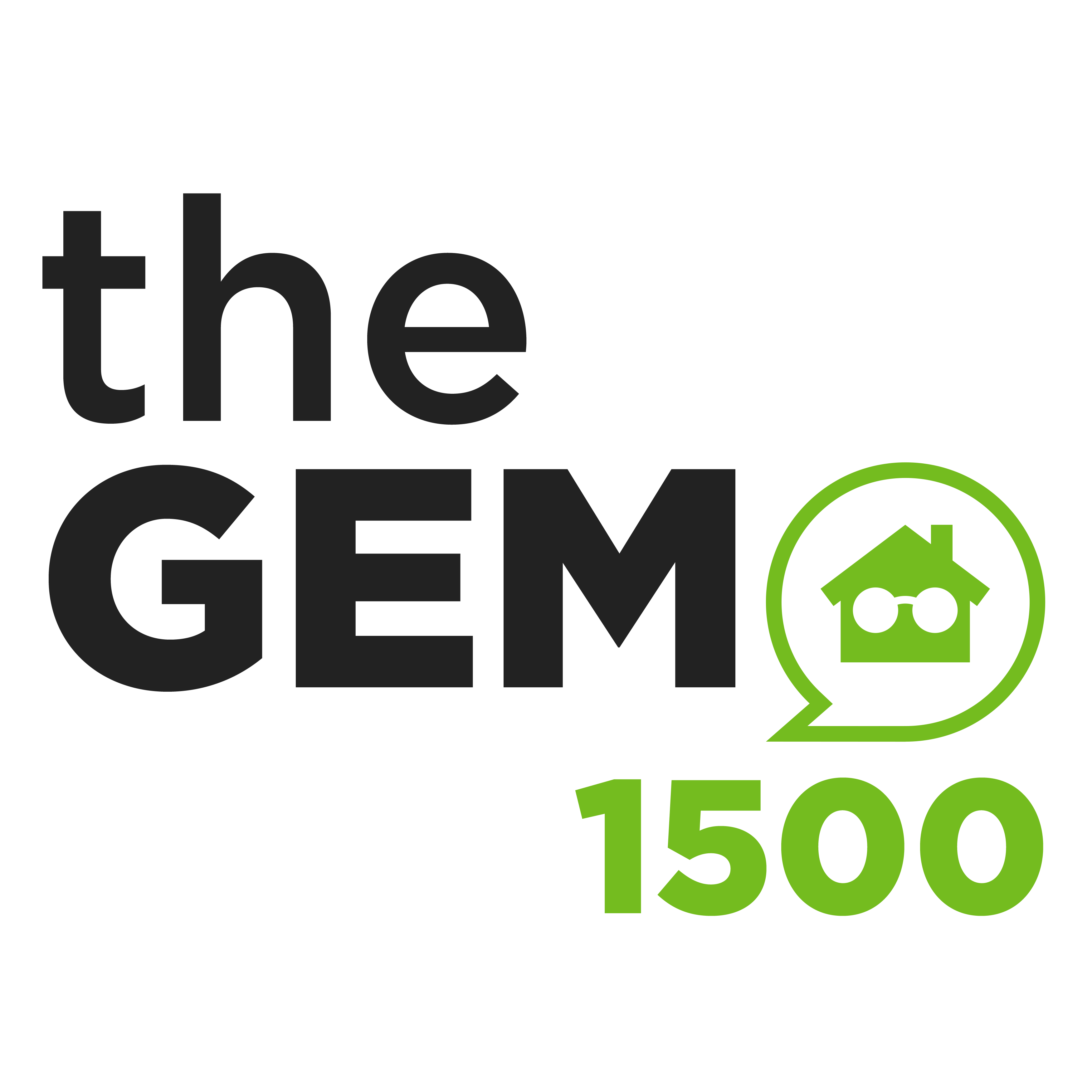 The GEM 500 Vertical Logo